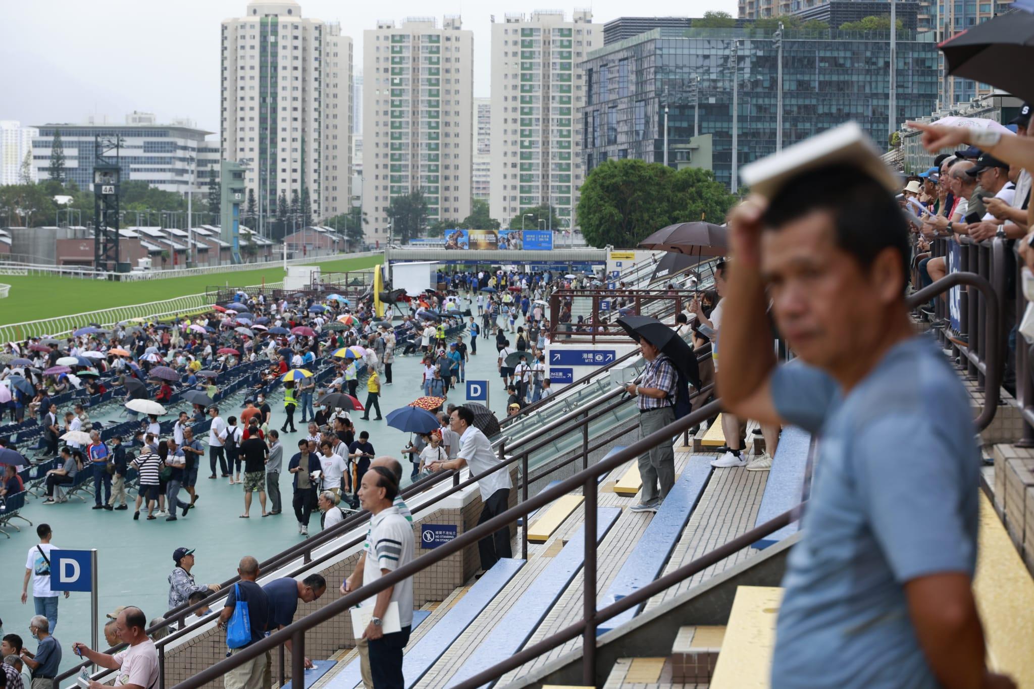 新馬季今開鑼 馬迷雨下觀賽 (林俊源攝)