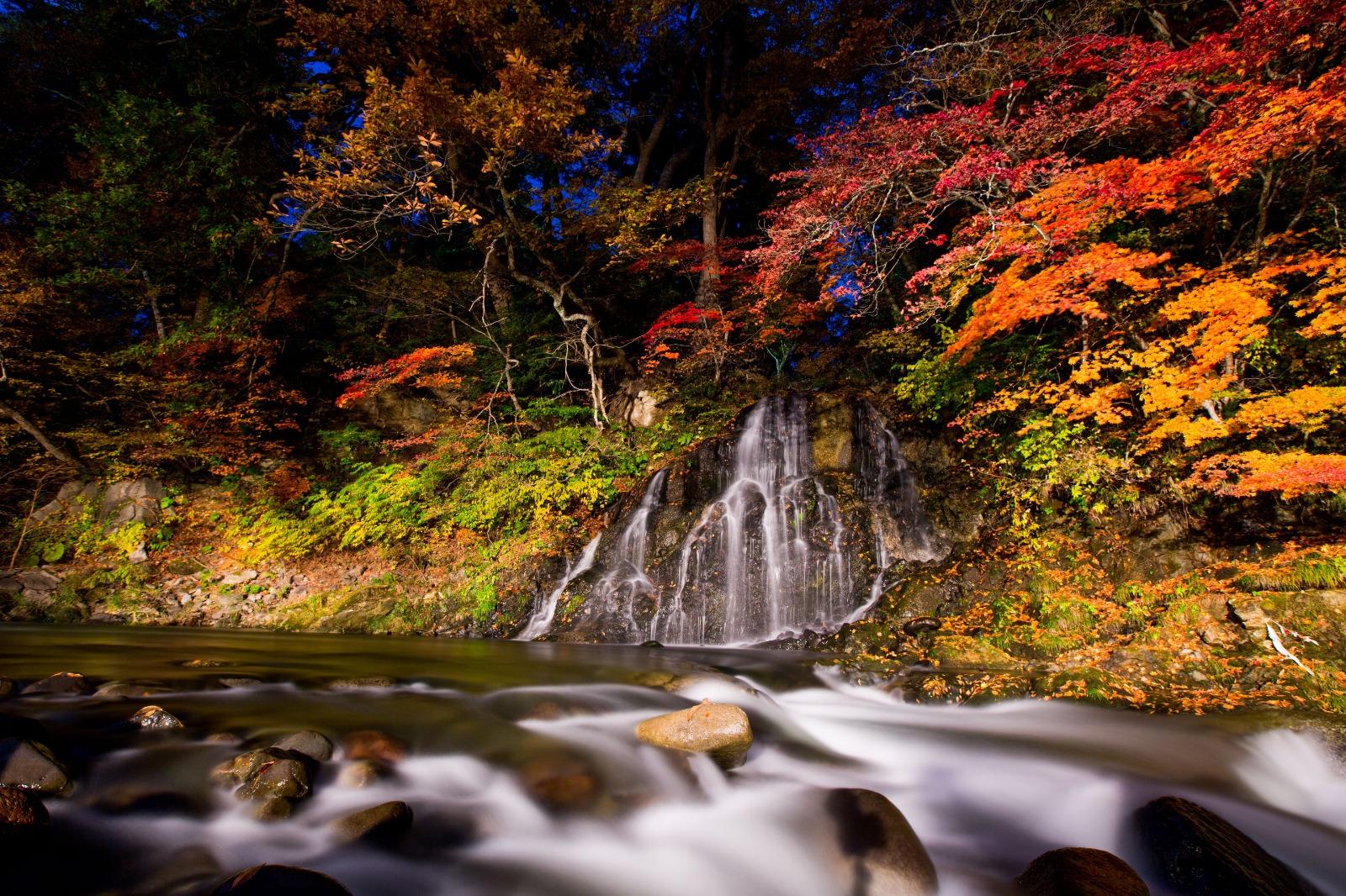 中野神社內的不動之瀑布被層層紅葉包圍。(圖片來源:© Aomori prefecture)