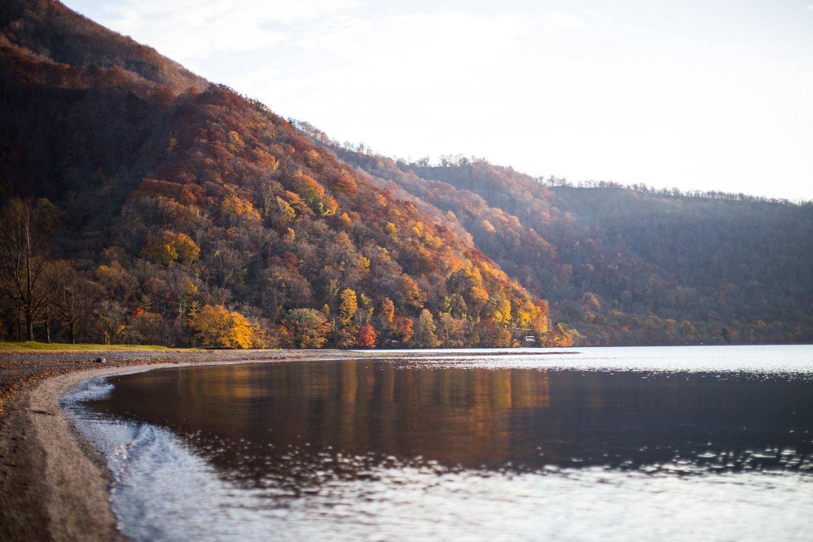 若錯過了清晨限定的絕景「蔦沼朝焼」,也可慢步於「蔦野鳥之森自然步道」近距離欣賞蔦沼的秋日紅葉絕景。(圖片來源:© Aomori prefecture)