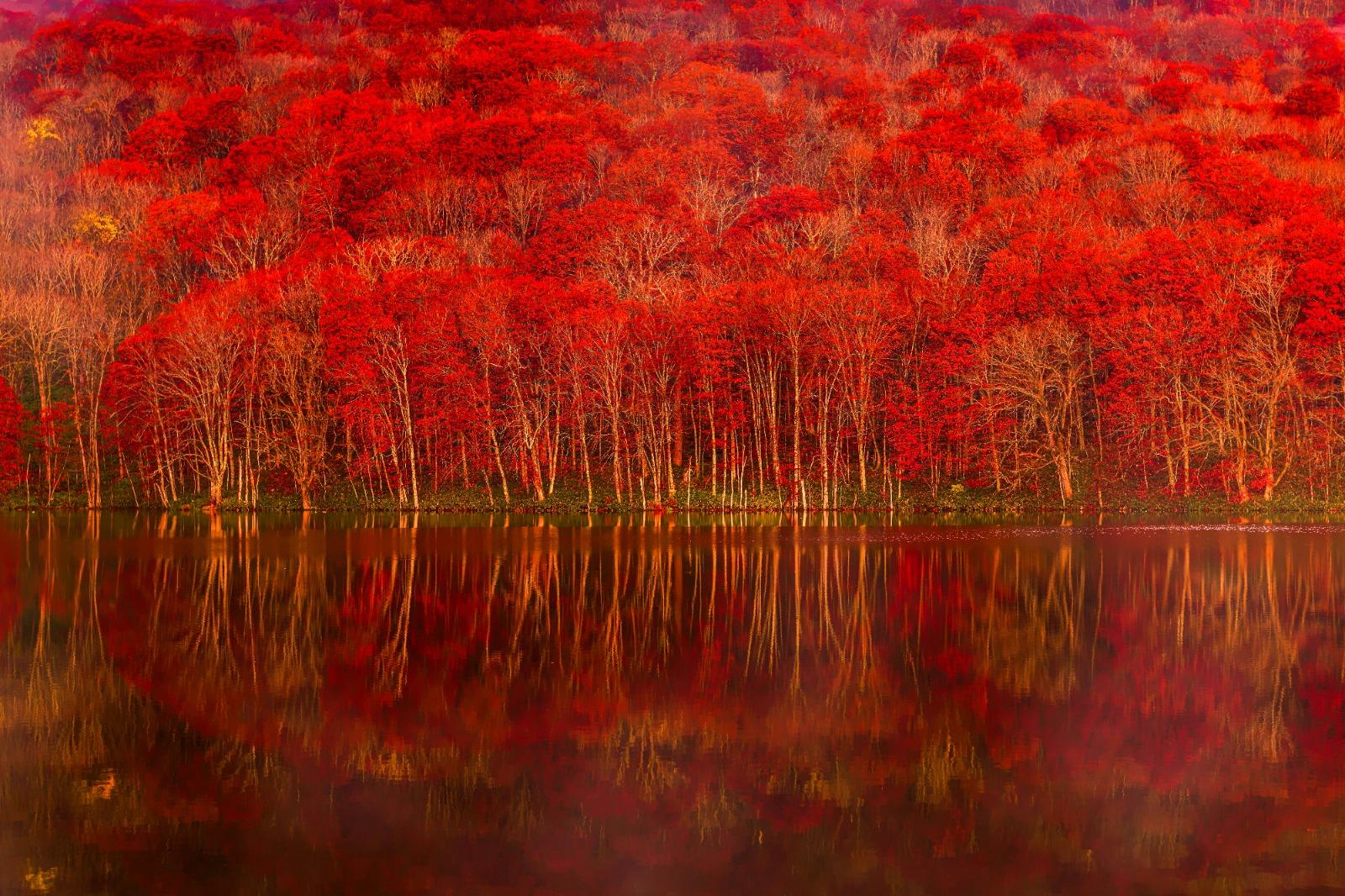 每年10月中至11月初可欣賞到絕景「蔦沼朝焼」,僅於清晨約5至7點出現,記得把握時間,為免摸黑長途自駕,最好住在附近的蔦溫泉去。(圖片來源:Kencheung@Unsplash)