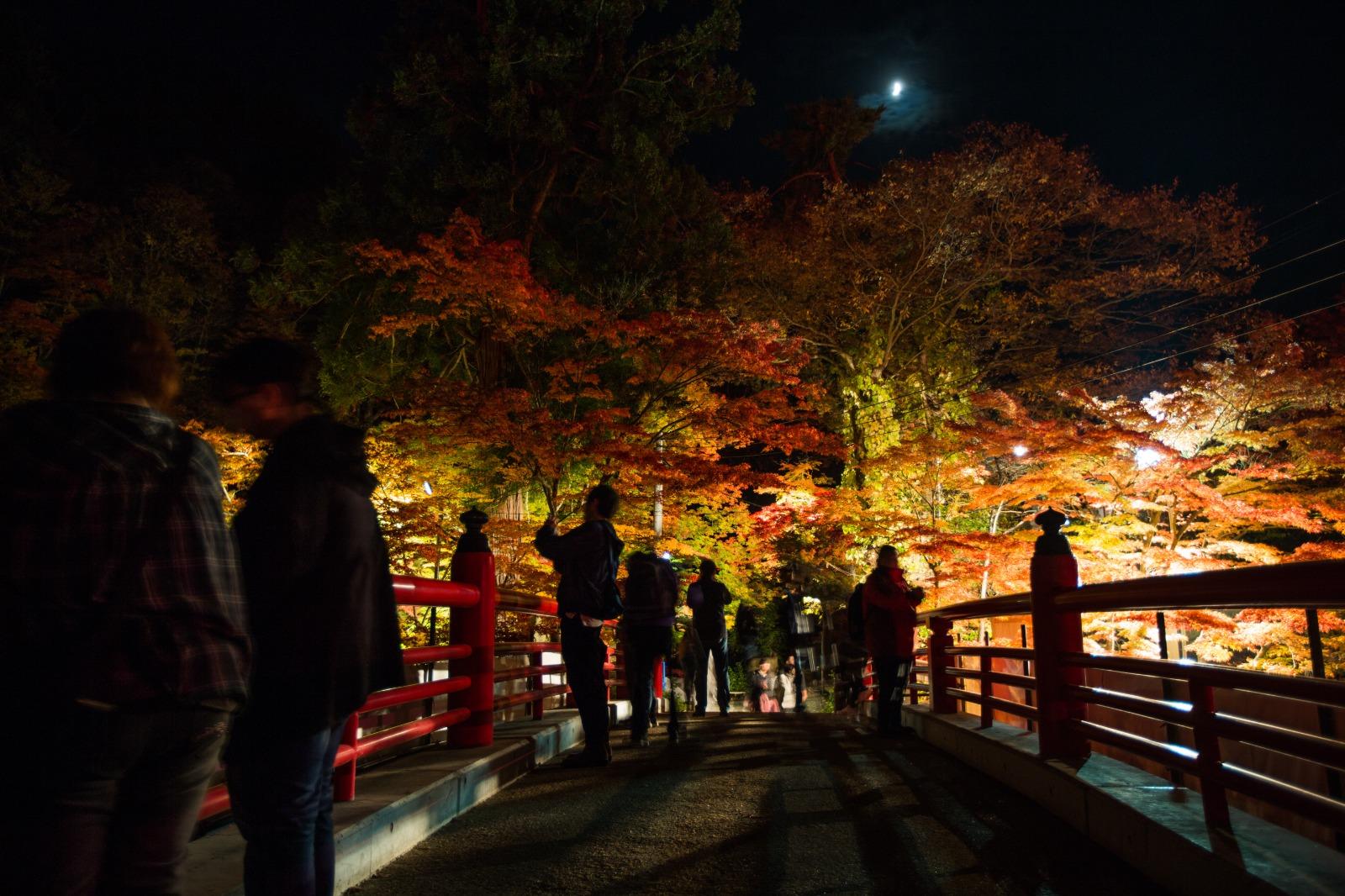 中野神社內的赤橋也是紅葉名所,打卡一流。(圖片來源:© Aomori prefecture)