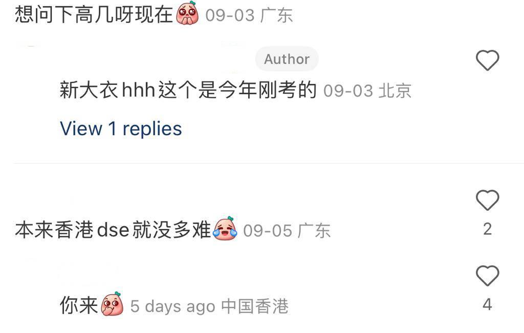 內地生稱裸考DSE已經夠奪星,網民意見(小紅書)