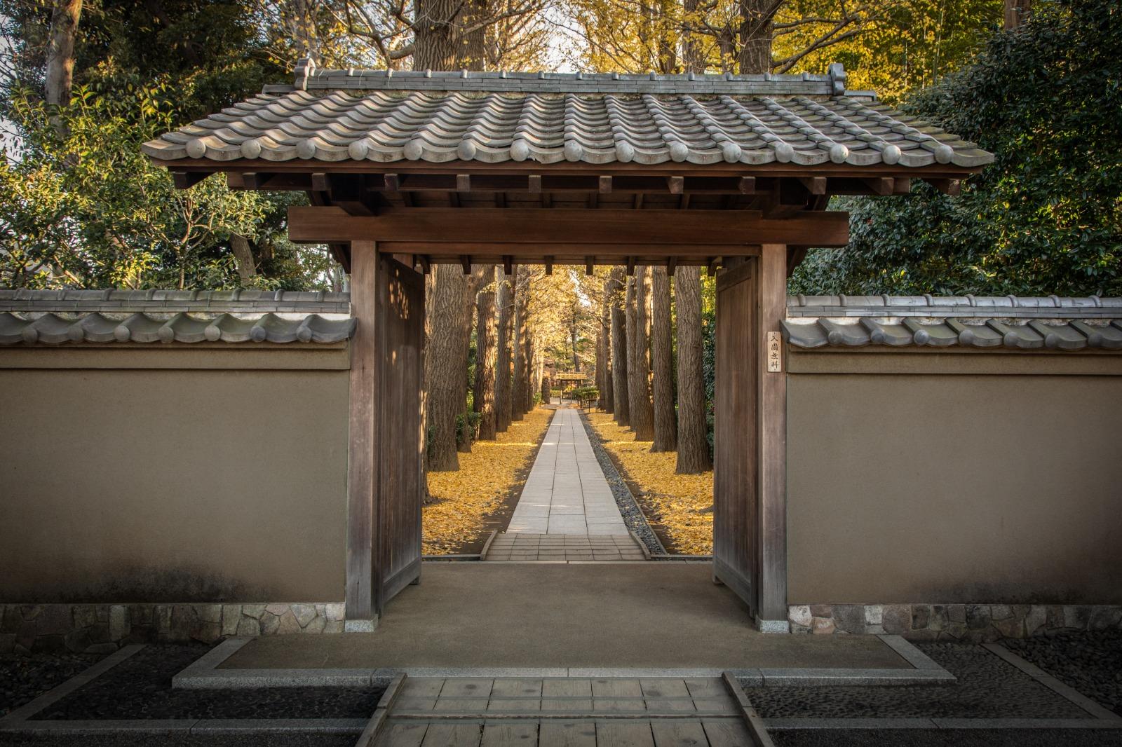 東京|大田黑公園|紅葉期: 12月初|地址:東京都杉並区荻窪3丁目33−12 (圖片來源: TCVB)