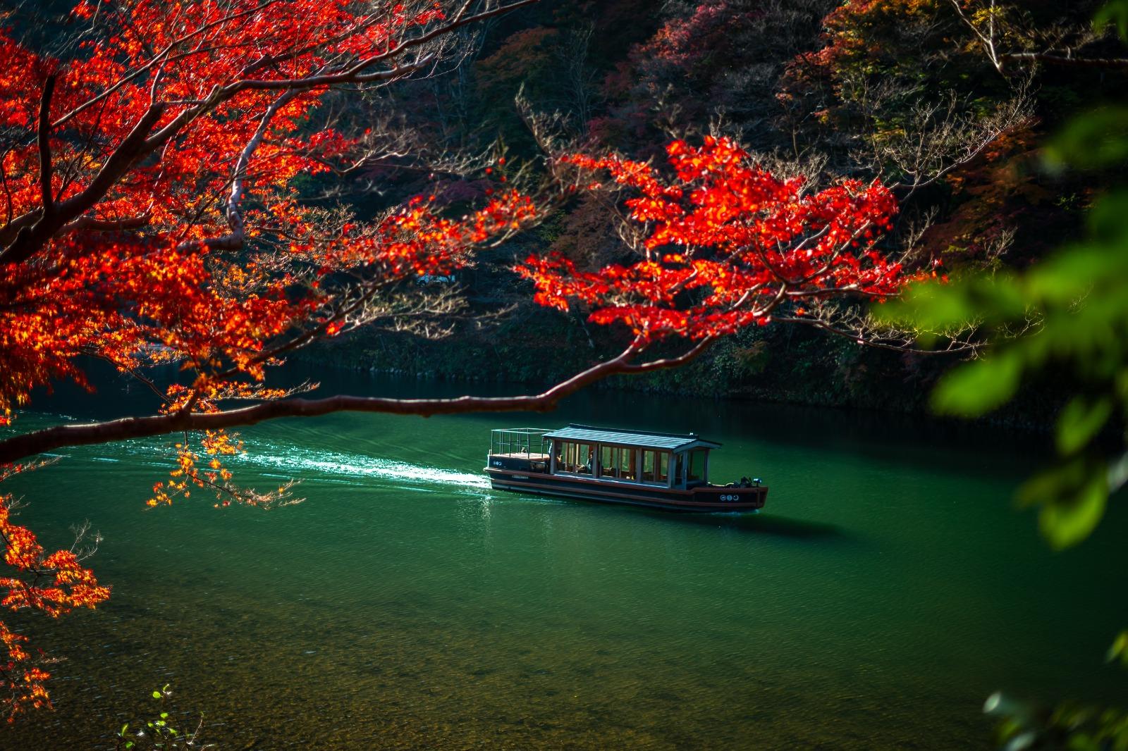 京都|嵐山|紅葉期:11月下旬|地址:京都市嵐山 (圖片來源:nicolas-caetano@Unsplash)