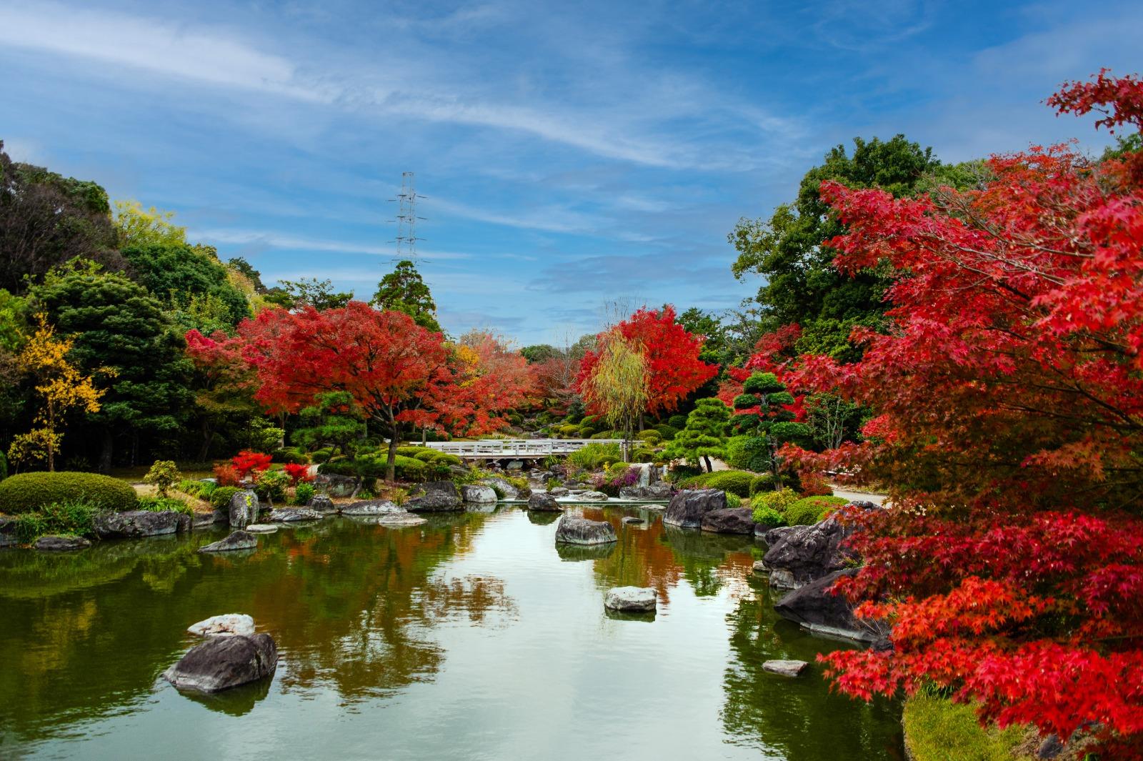 大阪|大仙公園|紅葉期:11月中|地址:大阪府堺市堺區大仙中町大仙公園內 (圖片來源:OCTB)
