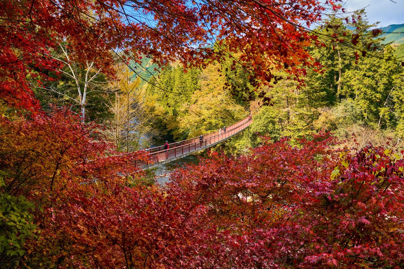 秋季時石舟橋被染上了金紅黃橘繽紛色彩的群山包圍,格外美麗。 (圖片來源:TCVB)