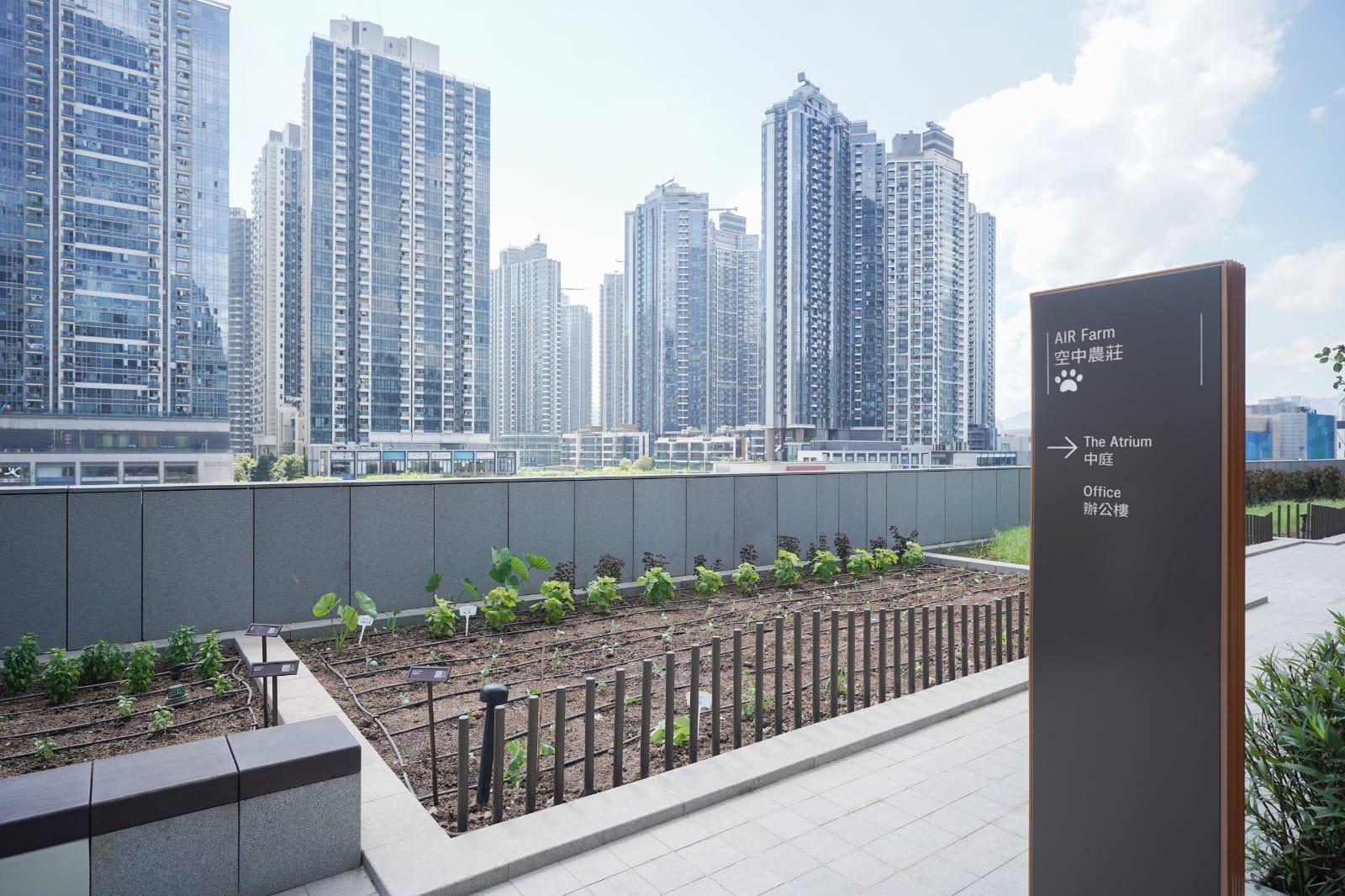 啟德AIRSIDE正式開幕 18,000呎綠色空間 餐廳共享都市農莊農作物