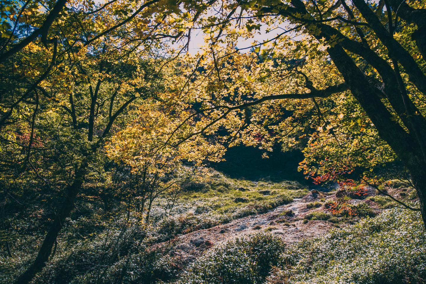 北海道阿寒湖 (圖片來源: 阿寒湖官網)