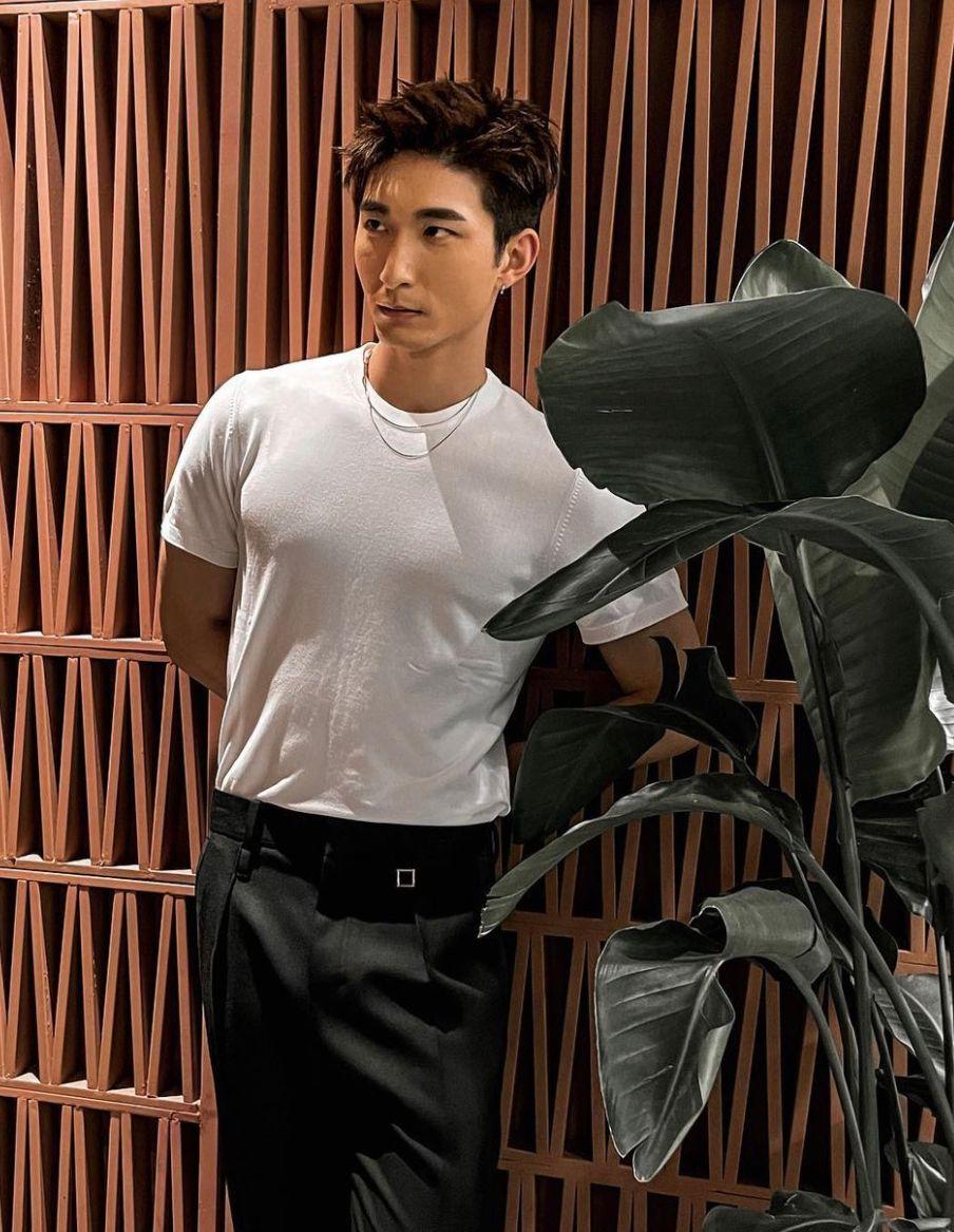 張馳豪入行後正獲TVB力捧。