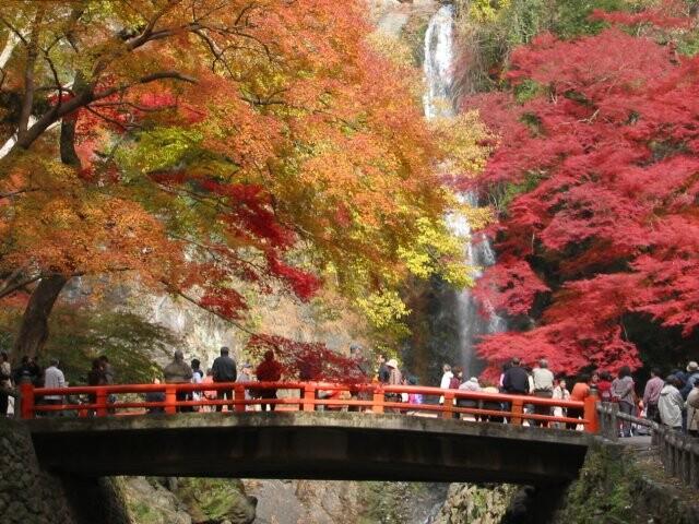 大阪箕面公園 (圖片來源: 大阪箕面公園官網)