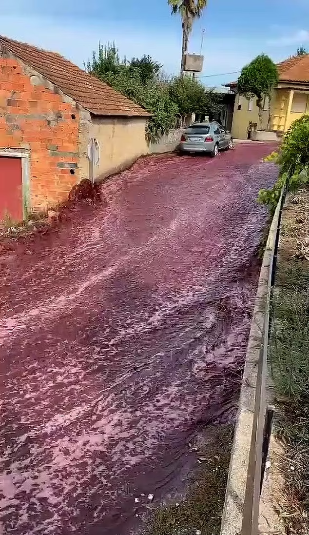 小鎮突現「紫紅色激流」。(互聯網)