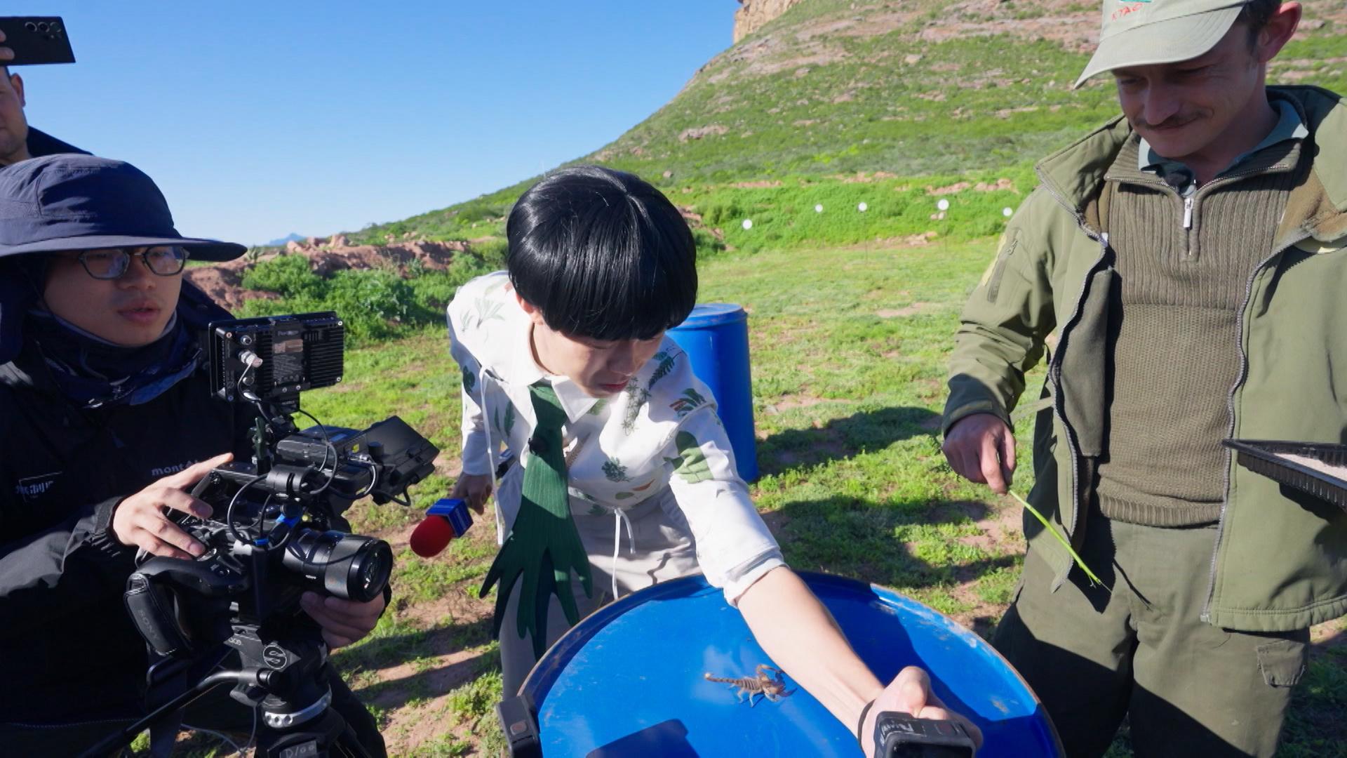 Marco在《無制限探險隊》自薦被劇毒的蛰墨玉粗尾蠍蛰手臂。