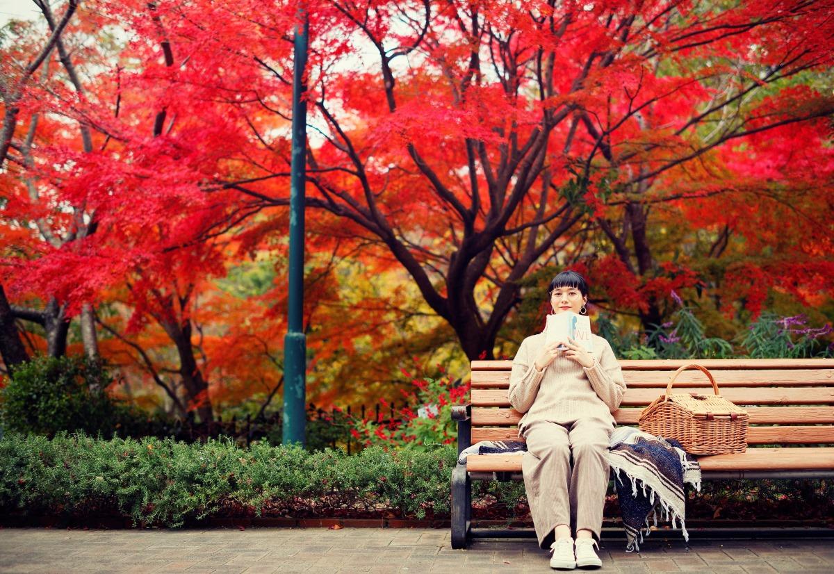 神戸布引香草園的紅葉季由 11月上旬至12月上旬。(圖片來源:PR TIMES)