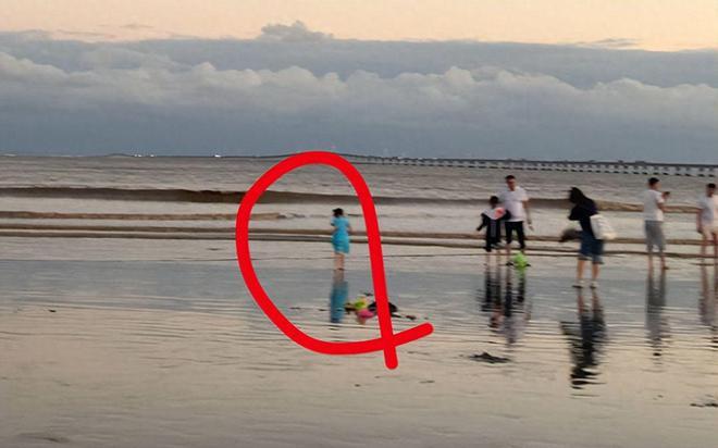 女童失蹤當日曾被拍到向海邊走去,摔倒後消失在浪中,公安當時已排除她被他人帶離海灘的可能。(網上圖片)