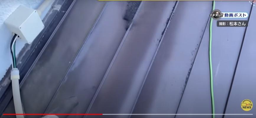 居民用吸塵機清理雪蟲屍體。(互聯網)