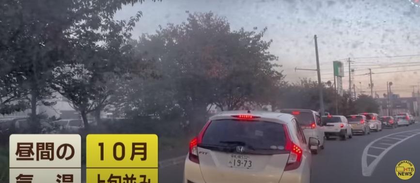 雪蟲漫天飛舞。(互聯網)