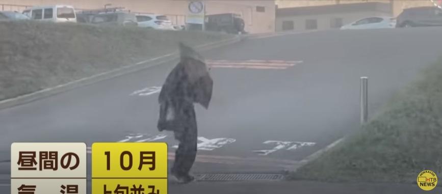 大量雪蟲撲身,居民外出時撐傘,用衣服包裹身體。(互聯網)