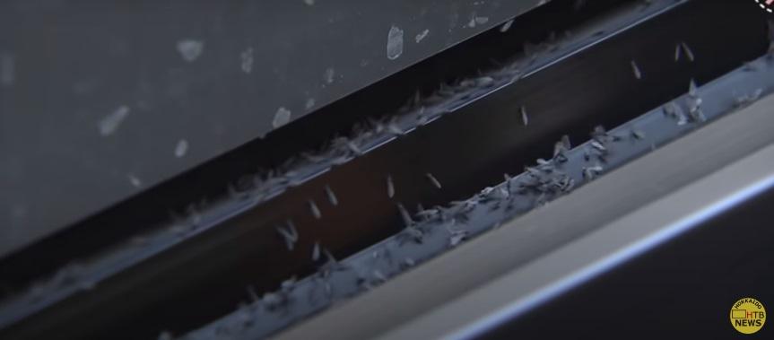 巴士車窗積了雪蟲屍體。(互聯網)