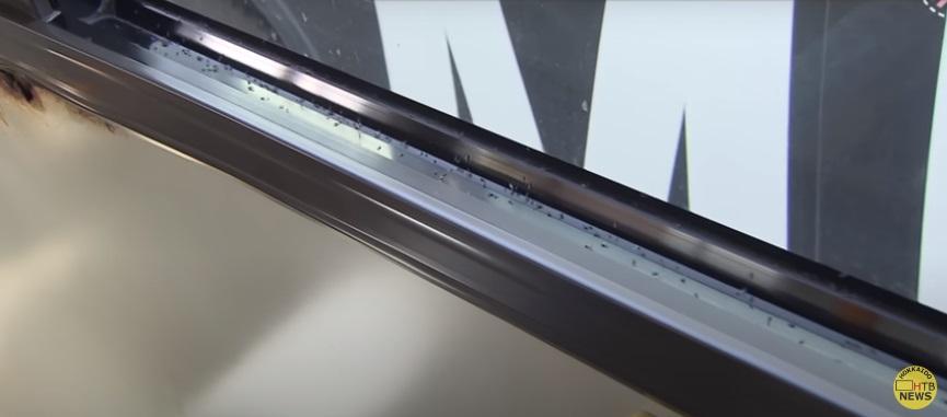 巴士車窗積了雪蟲屍體。(互聯網)