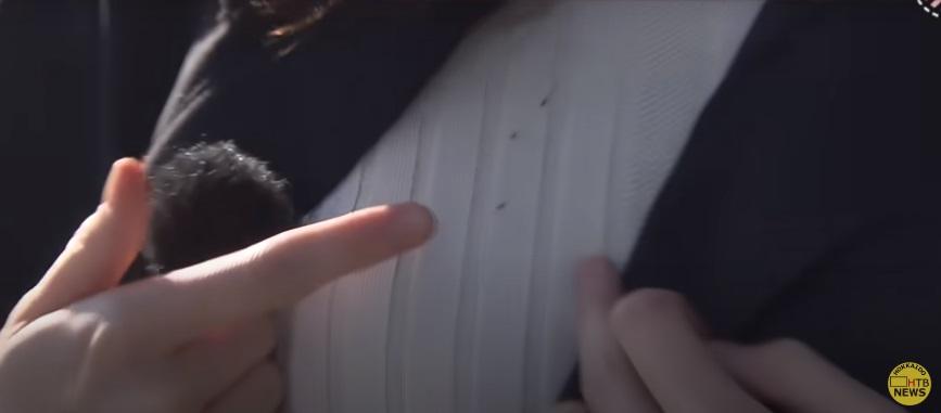 記者身上沾了雪蟲。(互聯網)