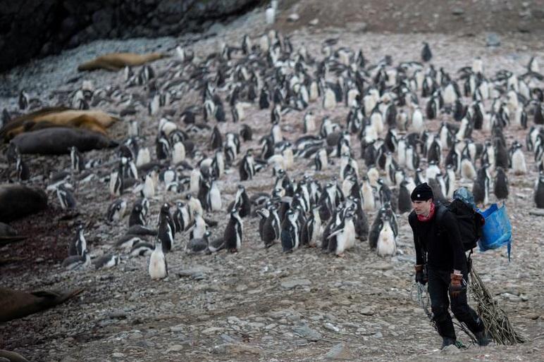 科研人員在南極洲進行研究工作。(資料圖片)