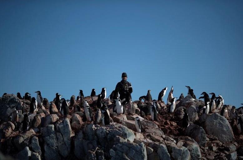 科研人員在南極洲進行研究工作。(資料圖片)