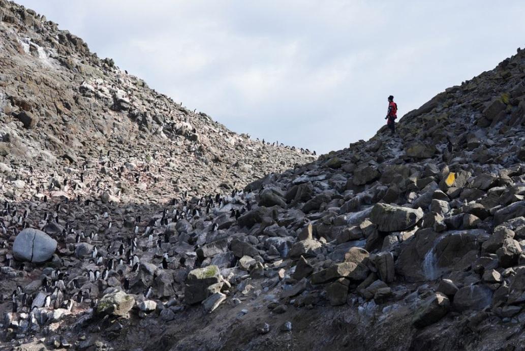 科研人員在南極洲進行研究工作。(資料圖片)
