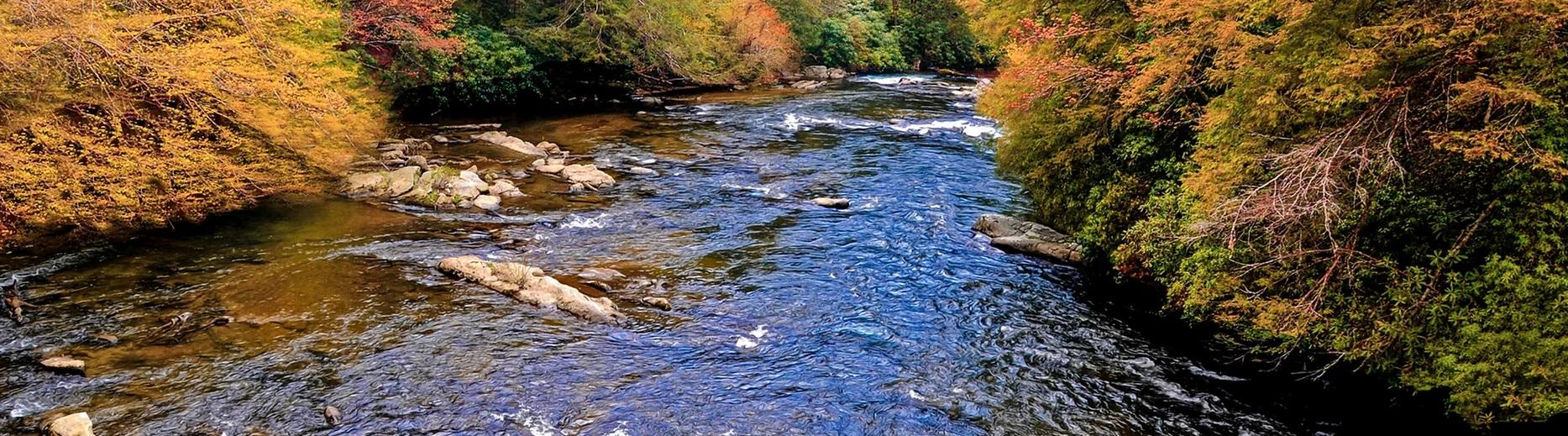 涉事餐廳四周環境優美。(互聯網)