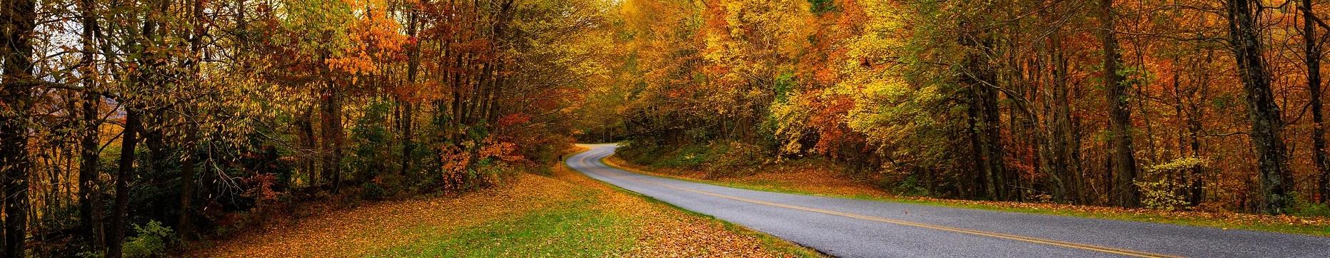 涉事餐廳四周環境優美。(互聯網)