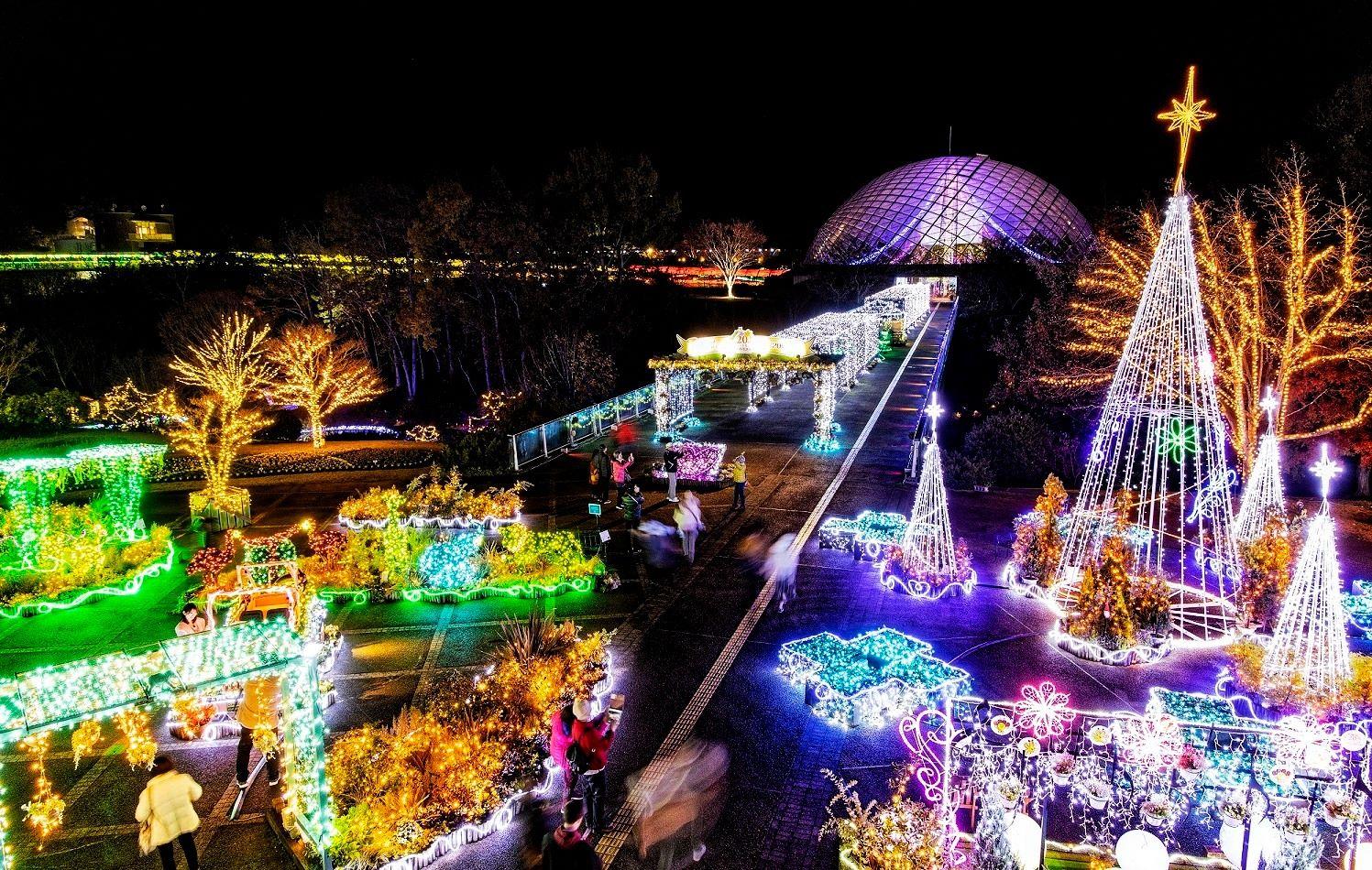 鳥取景點 在12-1月冬季舉行的Flower Illumination,廣大的庭園以過百萬顆璀璨的燈光裝飾,聖誕氣氛濃厚。
