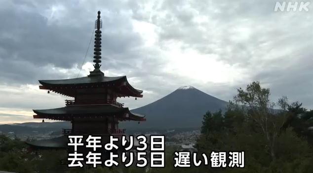 在新倉山淺間公園可拍到富士山與五重塔同框的唯美照片。(互聯網)