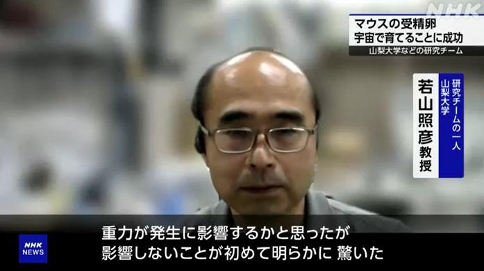 負責研究的山梨大學教授若山照彥。(互聯網)