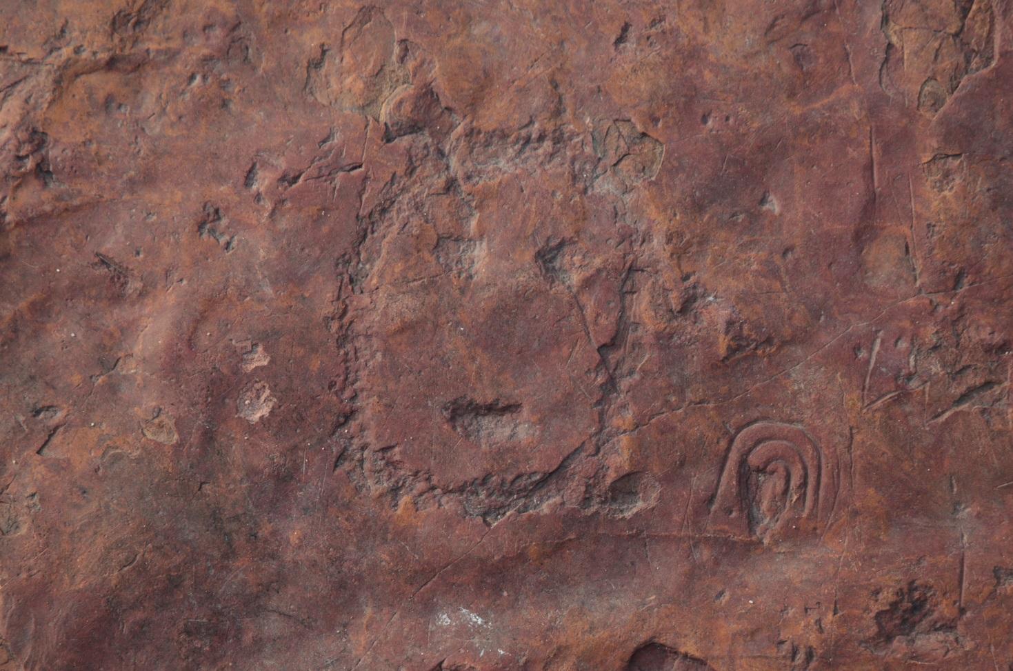 亞馬遜河地區追溯至2000年前的人臉岩雕。(路透社)