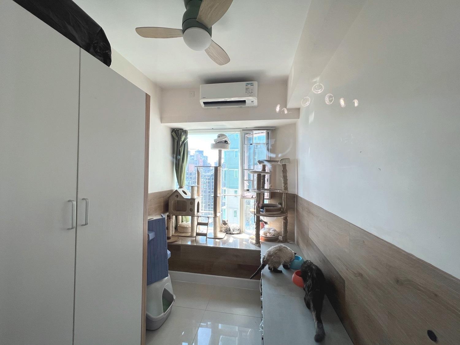 單位設有四房,其中一間用作愛貓們的吃喝玩樂天地。