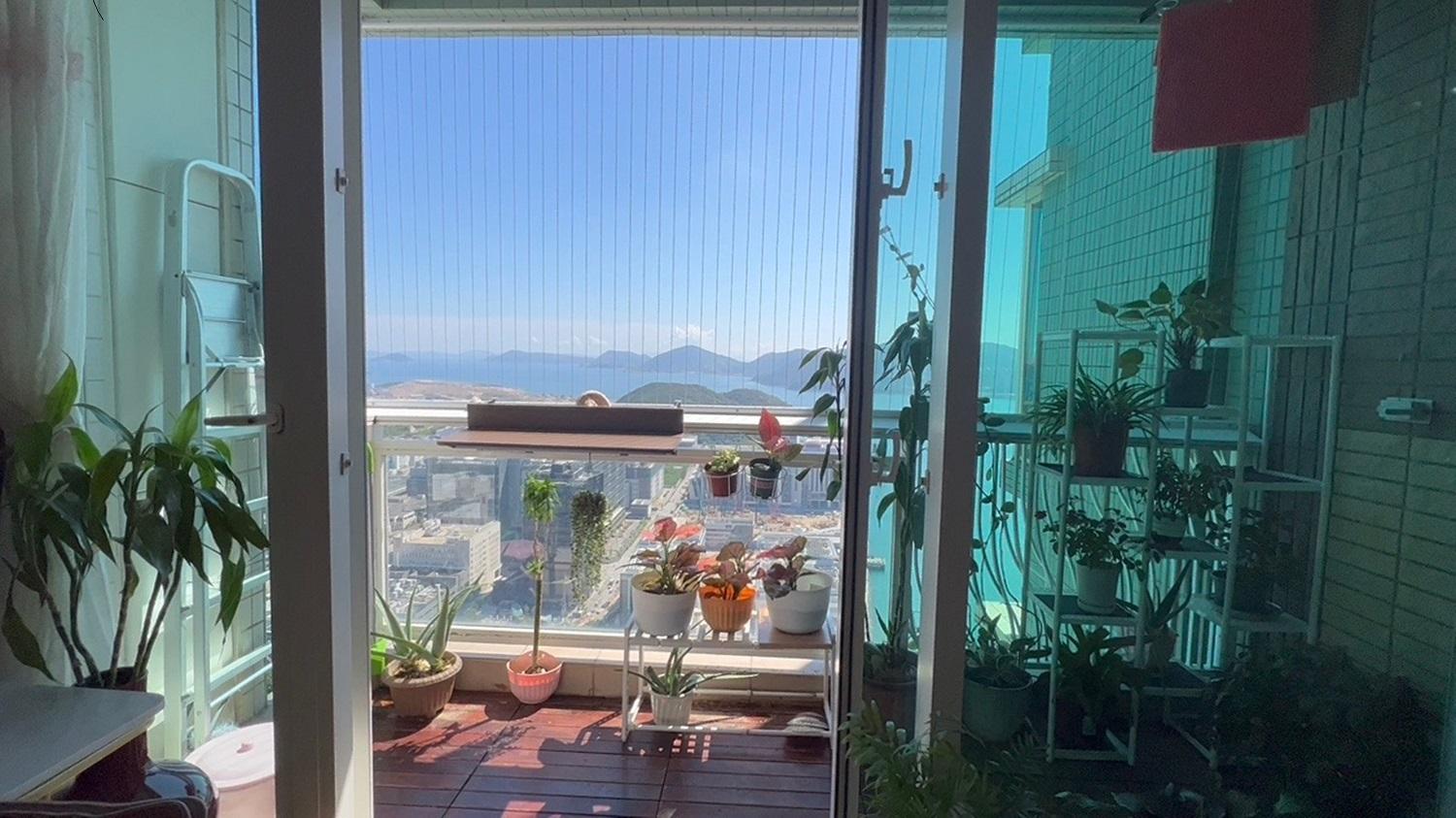 單位附有露台,通風兼陽光充沛,最適合栽種小型陽台植物。