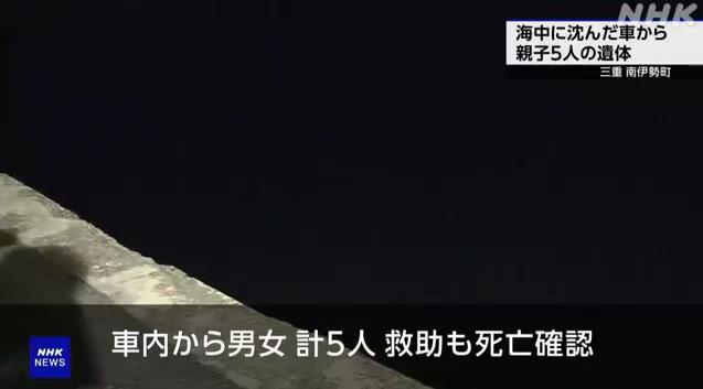 警方發現死者私家車墮海地點的岸邊沒有設置欄柵。(互聯網)