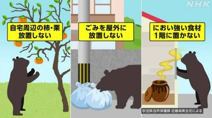 熊隻在住宅區可能的活動,包括採摘樹果或栗子、翻垃圾、聞到氣味後拿取食物。(互聯網)