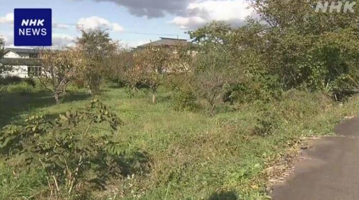 秋田縣五城目町一名60多歲男性周一在田間工作時被野熊襲擊,臉部受傷。(互聯網)