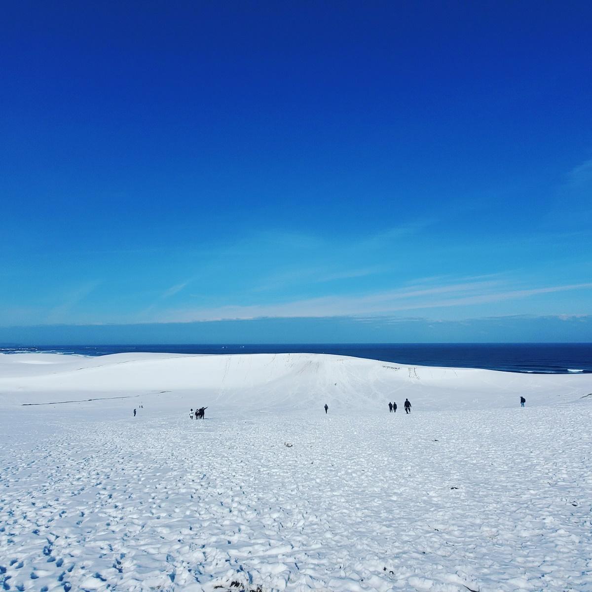 鳥取景點 積雪覆蓋下的沙漠砂丘一夜白頭,一望無際的雪丘,夢幻得有如雪白童話世界!