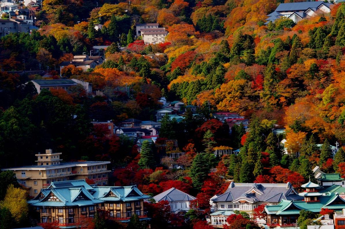 箱根宮之下秋日景緻。(互聯網)