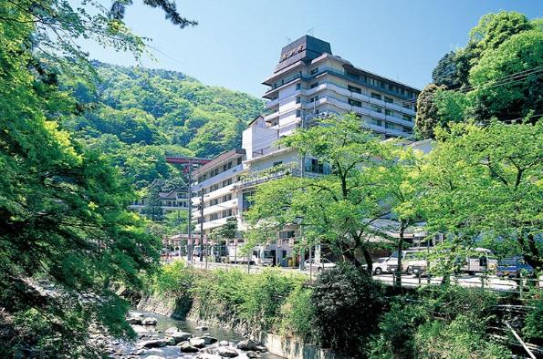 箱根溫泉旅館。(互聯網)