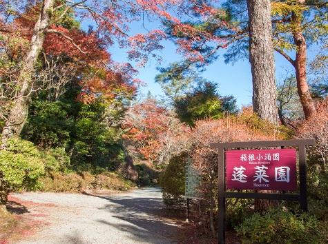 箱根小涌園蓬萊園。(互聯網)