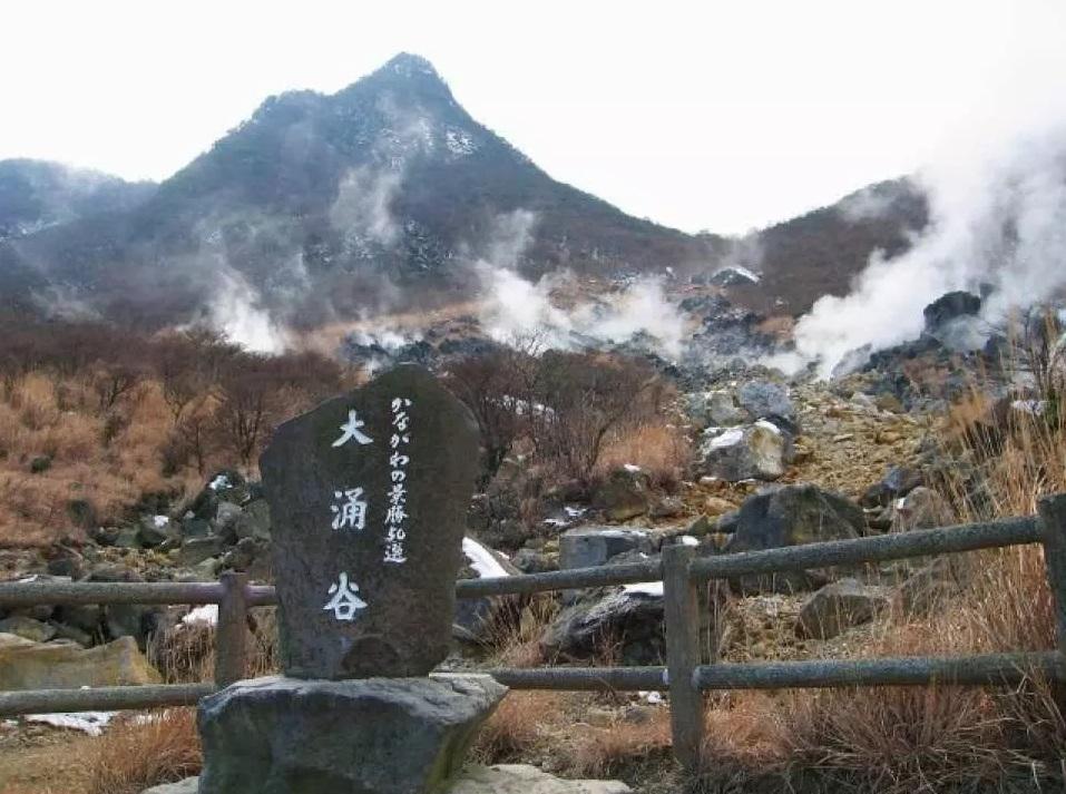 箱根大涌谷地熱地貌。(互聯網)