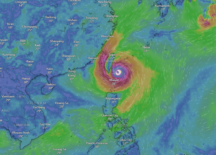 颱風小犬|Windy周三預計路徑。(Windy截圖)