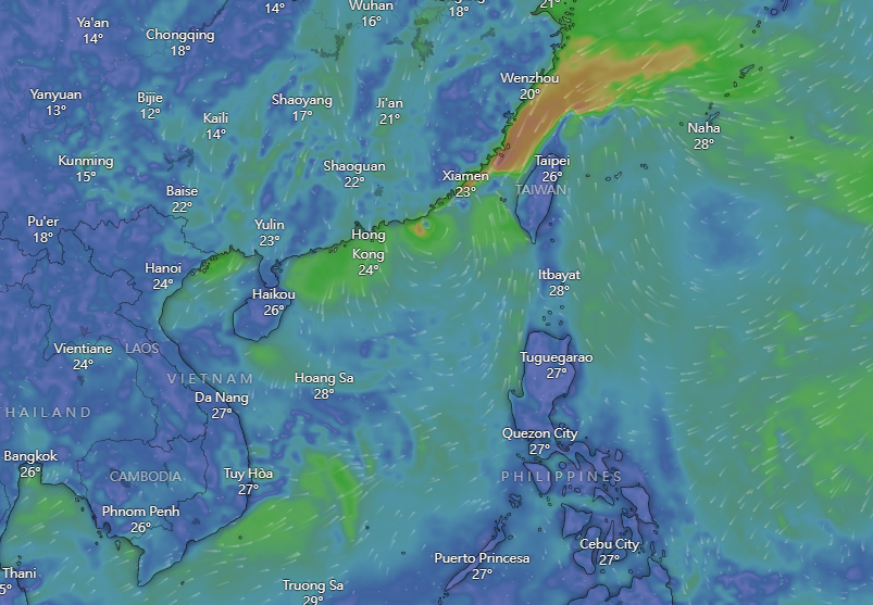 颱風小犬|Windy預計周六已消失。(Windy截圖)