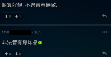 煙花少女真身疑曝光,網民意見(圖片來源:LIHKG討論區)