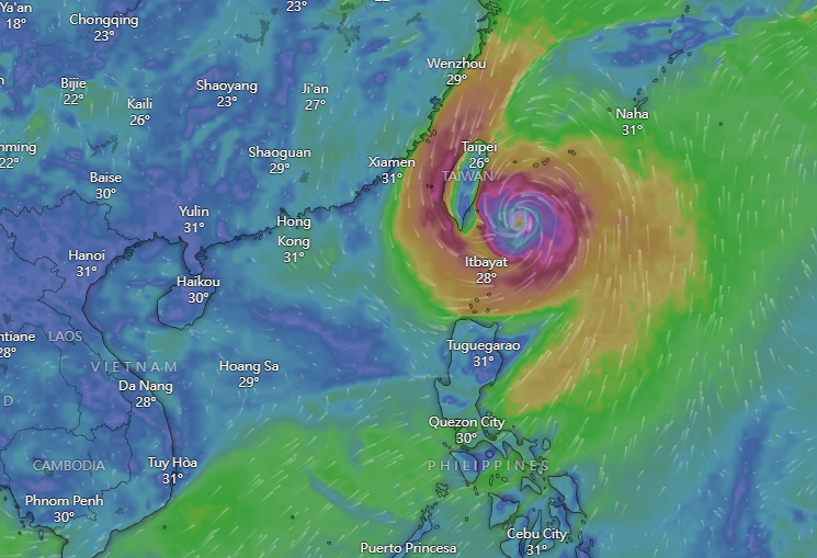 颱風小犬|Windy周三預計路徑。(Windy截圖)