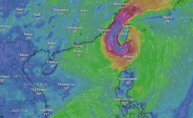 颱風小犬|Windy周四預計路徑。(Windy截圖)
