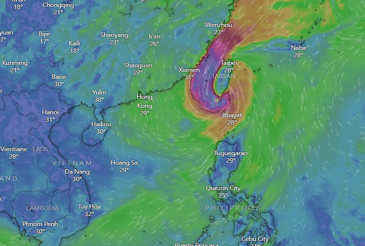颱風小犬|Windy周四預計路徑。(Windy截圖)