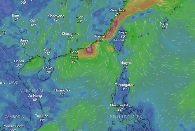 颱風小犬|Windy周六預計路徑。(Windy截圖)